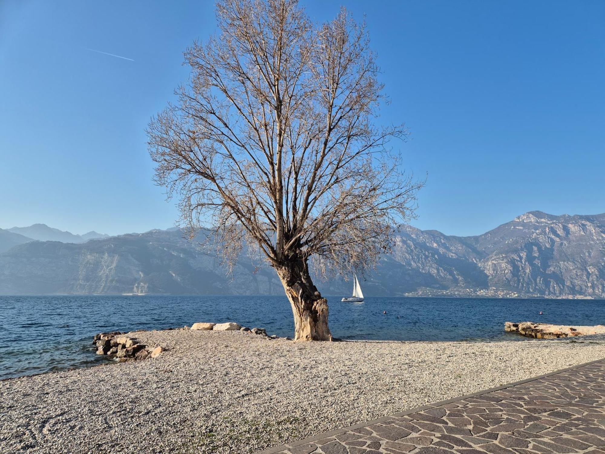Lake Garda Bike&Hike Apartment Riva del Garda Dış mekan fotoğraf